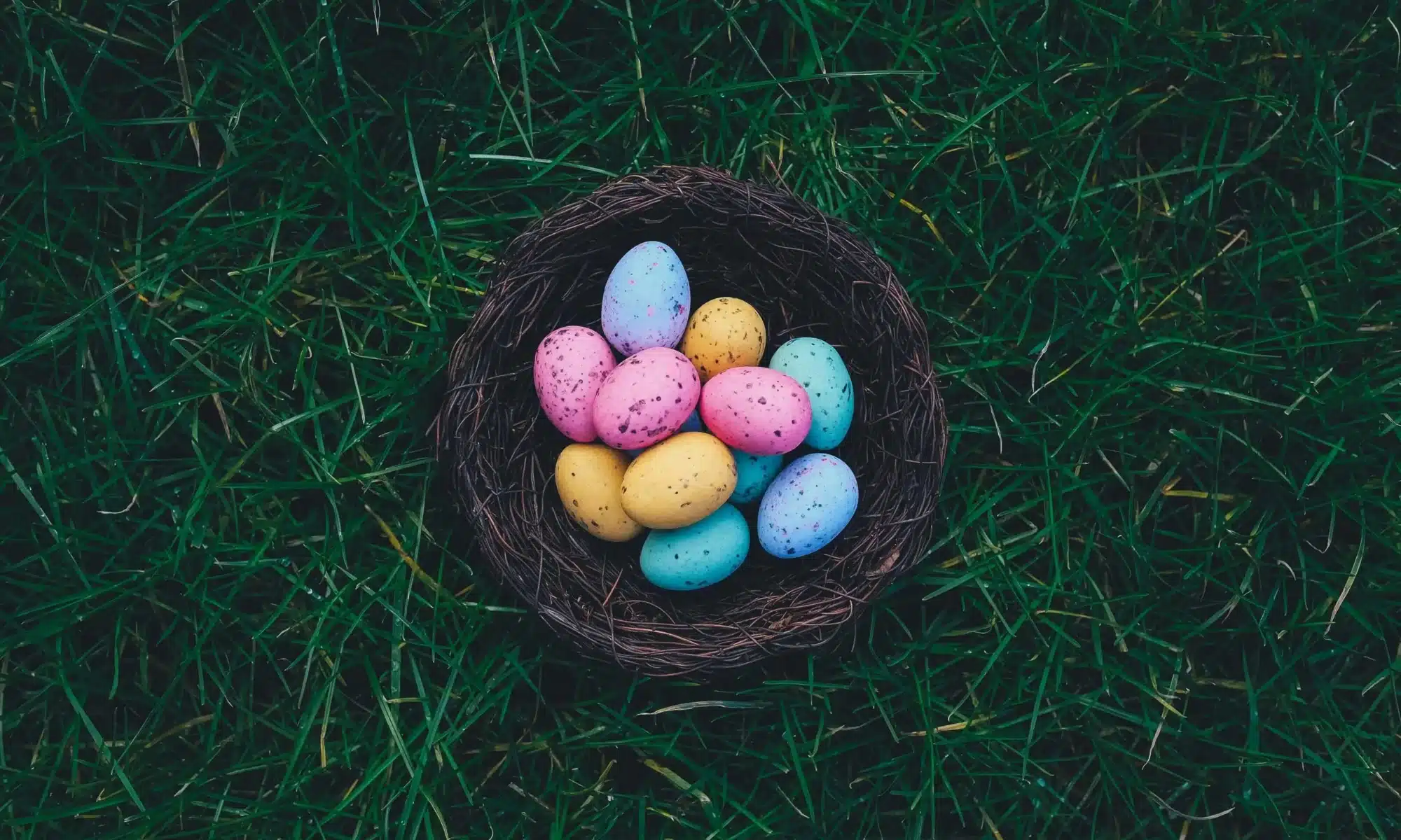 Dyed Easter eggs in a basket on grass