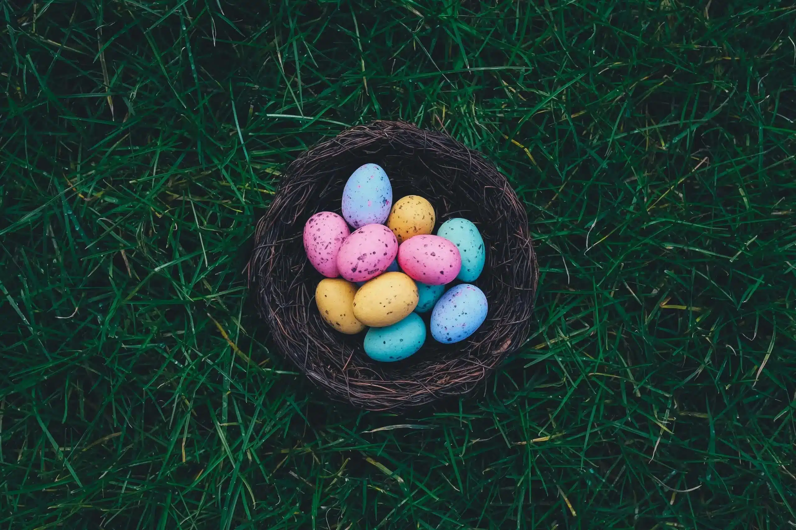 Dyed Easter eggs in a basket on grass