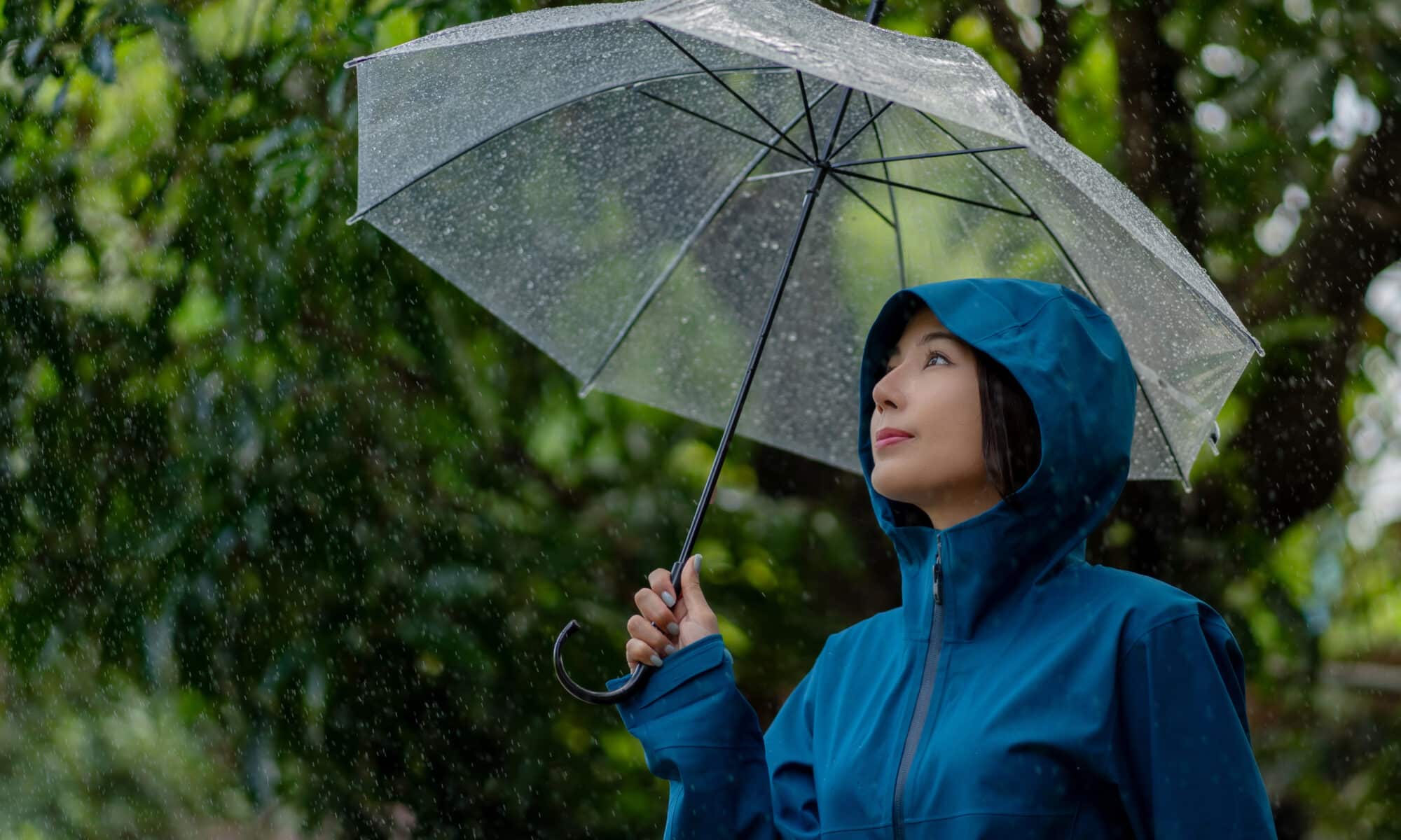 Women holding an umbrella in the rain