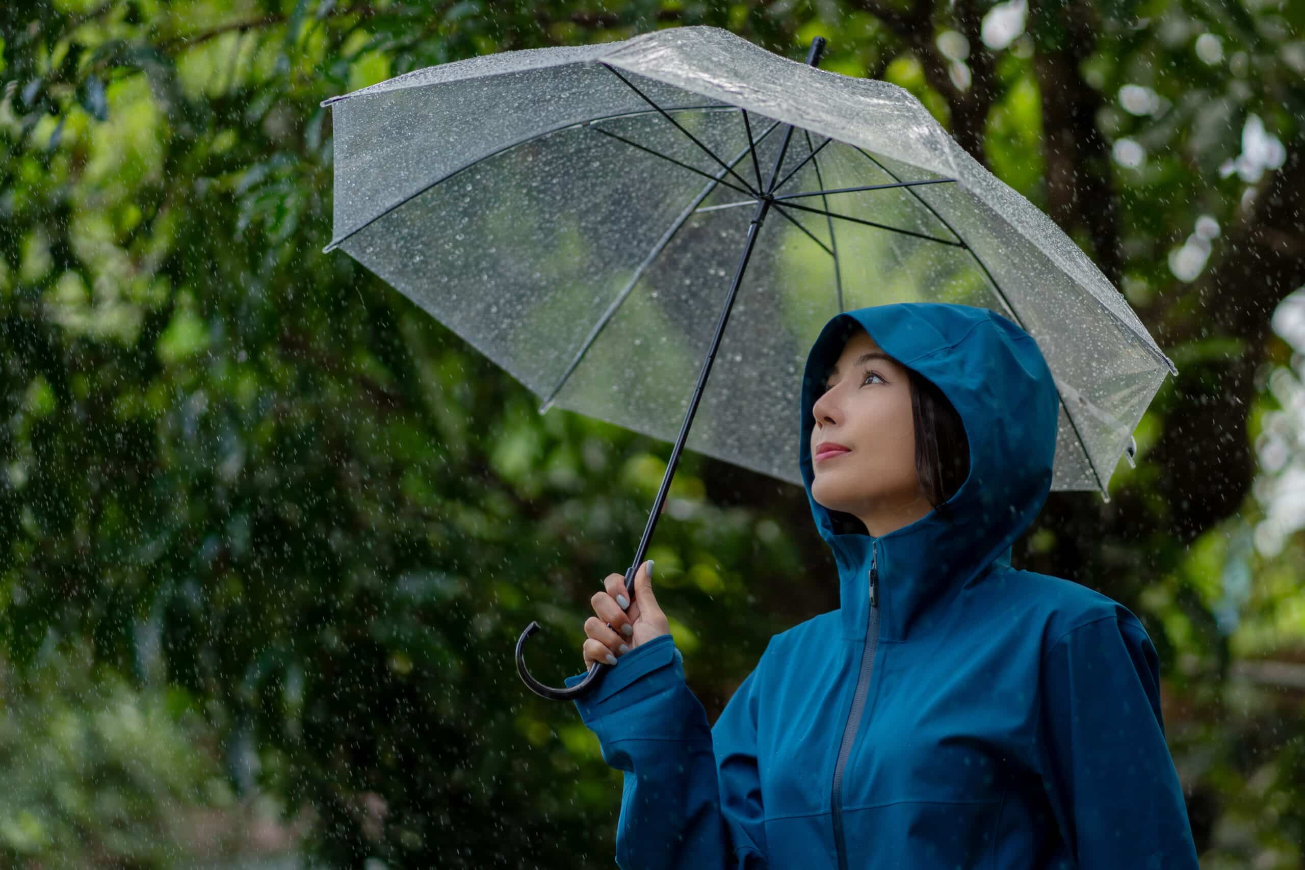 Women holding an umbrella in the rain